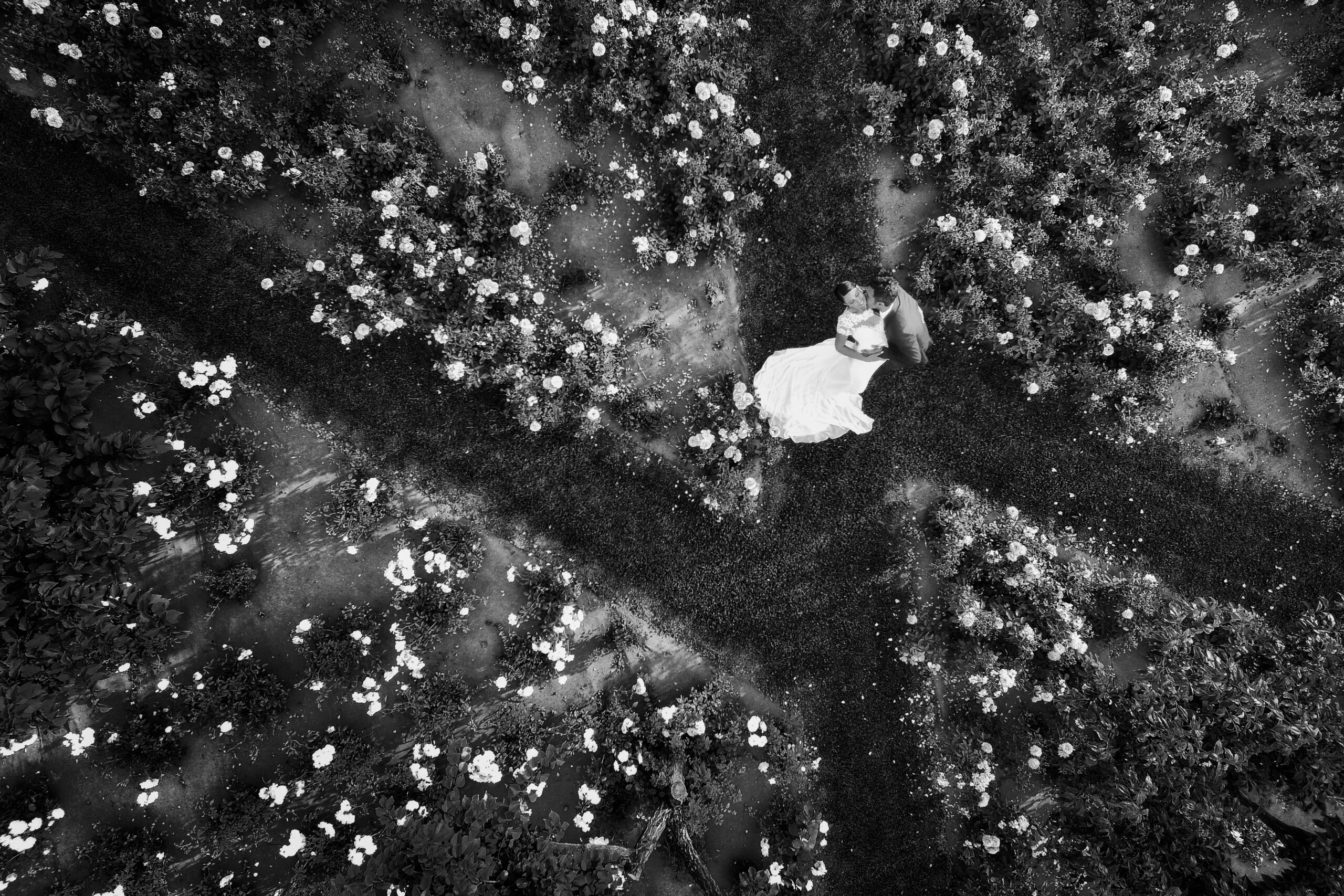 Wedding Portrait and Fashion Photography